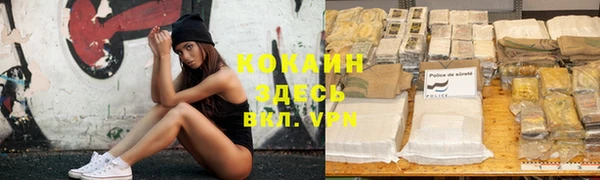 стафф Армянск