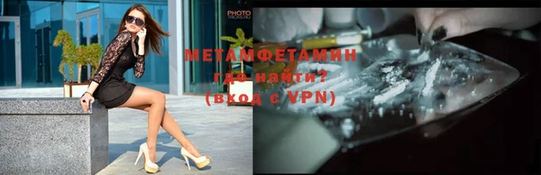 сатива Няндома