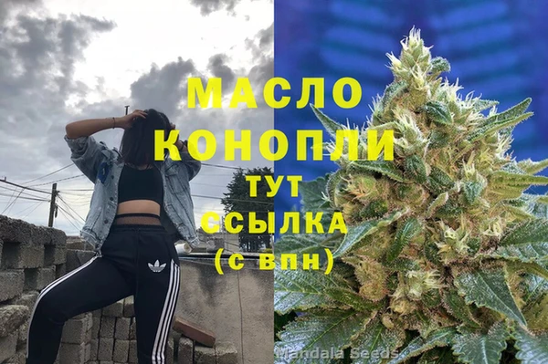 альфа пвп Новодвинск