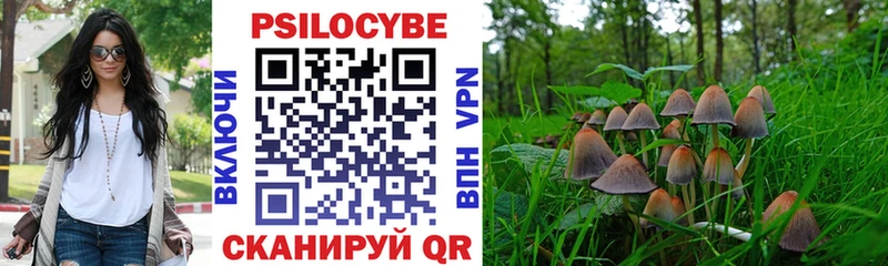 Галлюциногенные грибы Cubensis Ишим